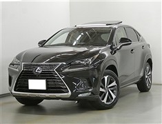 NX300h バージョンL