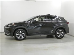NX300h バージョンL