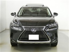 NX300h バージョンL