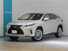 RX300 ヒョウジュンシャ