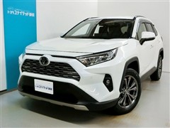 RAV4 G