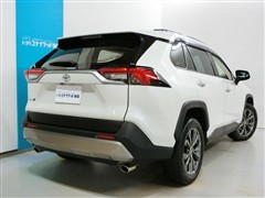 RAV4 G