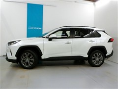 RAV4 G