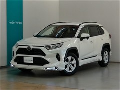 RAV4 X