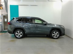 RAV4 G