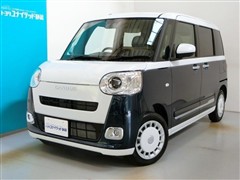 ムーヴキャンバス ストライプス G