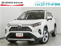 RAV4 G