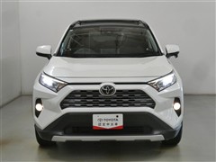 RAV4 G