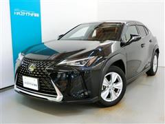 UX250h バージョン C