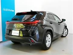 UX250h バージョン C