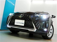 UX250h バージョン C