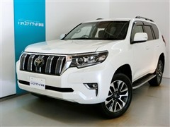 ランドクルーザープラド TZ-G