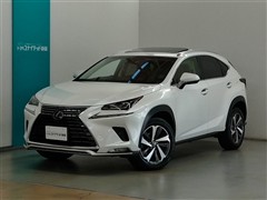 NX300 Iパッケージ