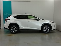 NX300 Iパッケージ