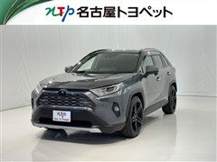 RAV4 HV G
