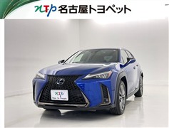 UX250h F SPORT