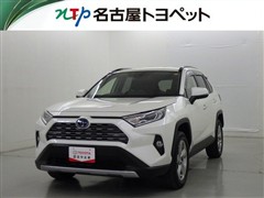 RAV4 HV G
