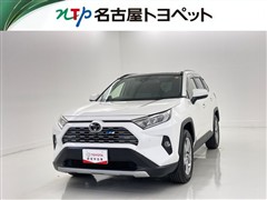 RAV4 G