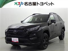 トヨタ　RAV4 アドベンチャー オフロート