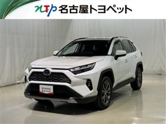 ＲＡＶ４