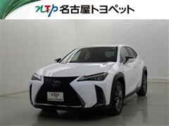 UX250h F SPORT