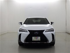 UX250h F SPORT