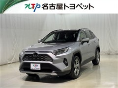 ＲＡＶ４