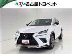 NX300 F SPORT