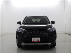 RAV4 G