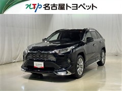 RAV4 G Zパッケージ