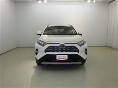 RAV4 G