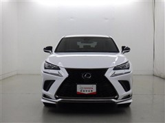 NX300 Fスポーツ