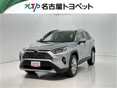 RAV4 G Zパッケージ