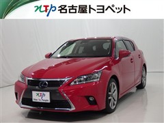 CT200h クールツーリングスタイ