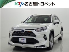 RAV4 HV G