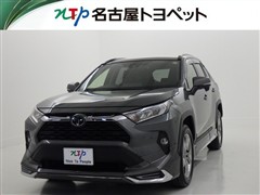 RAV4 X
