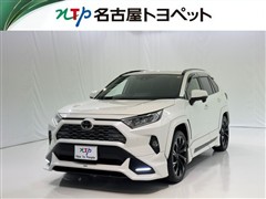 RAV4 G Zパッケージ