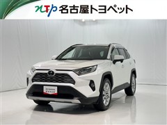RAV4 G Zパッケージ