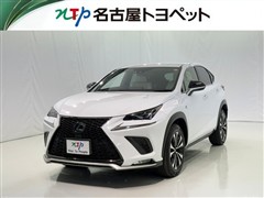 NX300 Fスポーツ