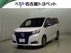 エスクァイアHV Gi BLテーラード