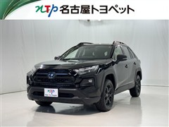 RAV4 HVアドオフロードP 2