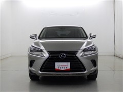 NX300h バージョンL