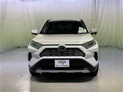 RAV4 HV G
