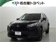 RAV4 X