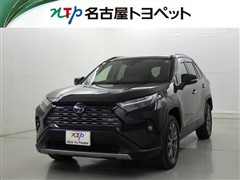 RAV4 HV G