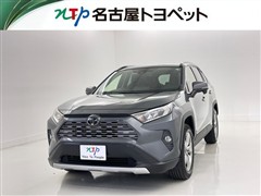 RAV4 G