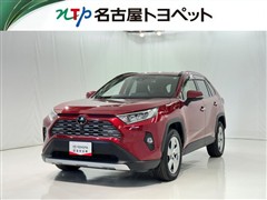 RAV4 G