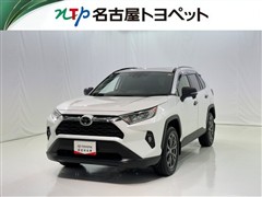 RAV4 X