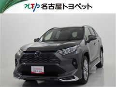 RAV4 G Zパッケージ