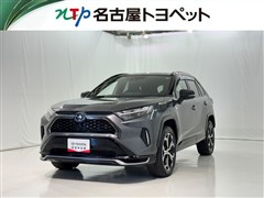 トヨタ RAV4 PHV ブラックトーン